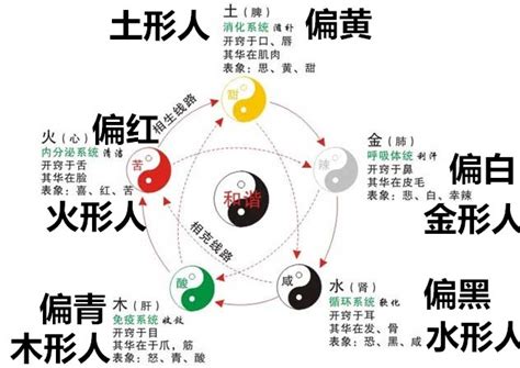 五行 金 性格|五行属金的人性格大全